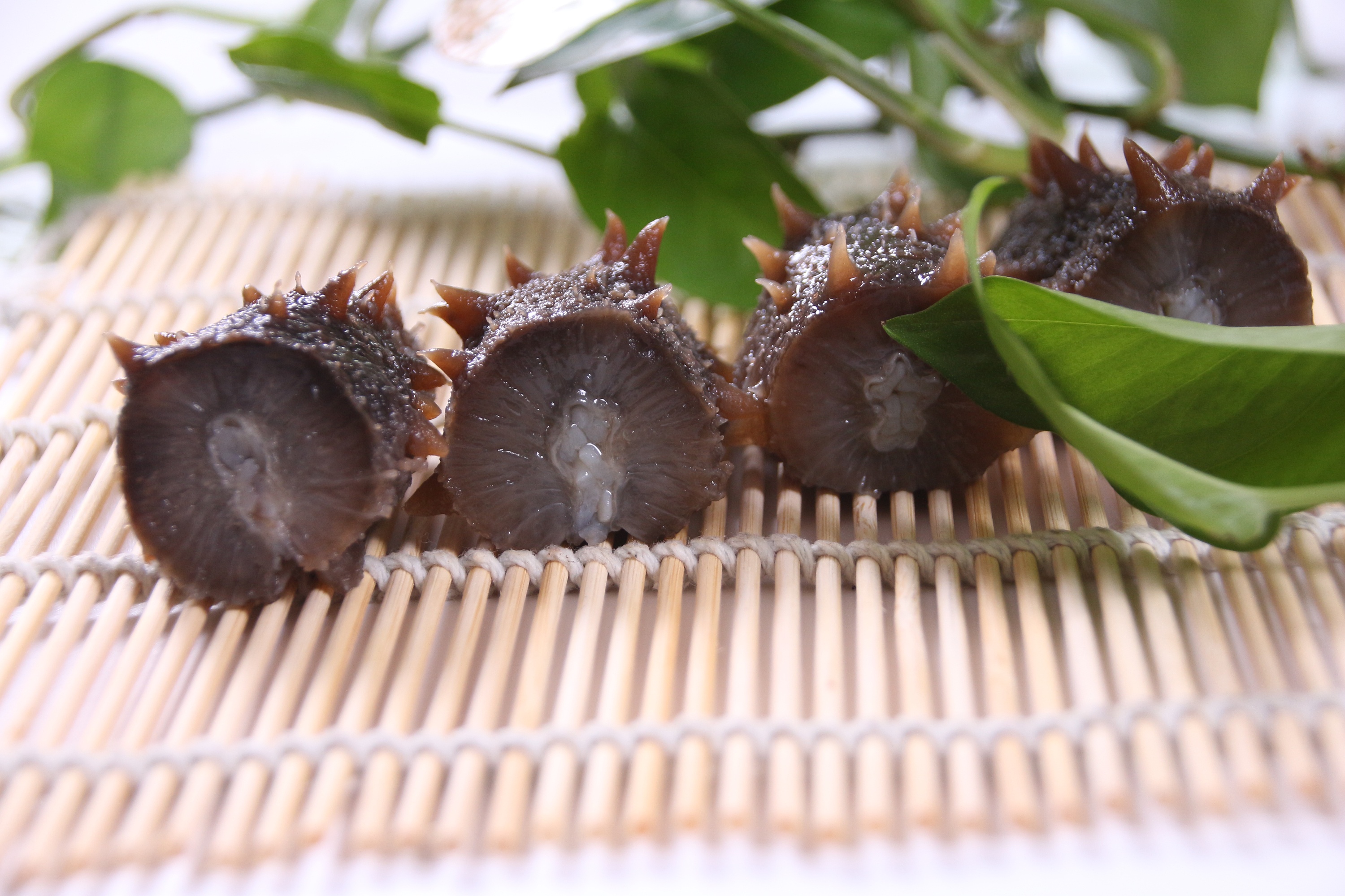 怎样泡发海参营养才不会流失 (简单的海参泡发方法适用淡干海参)