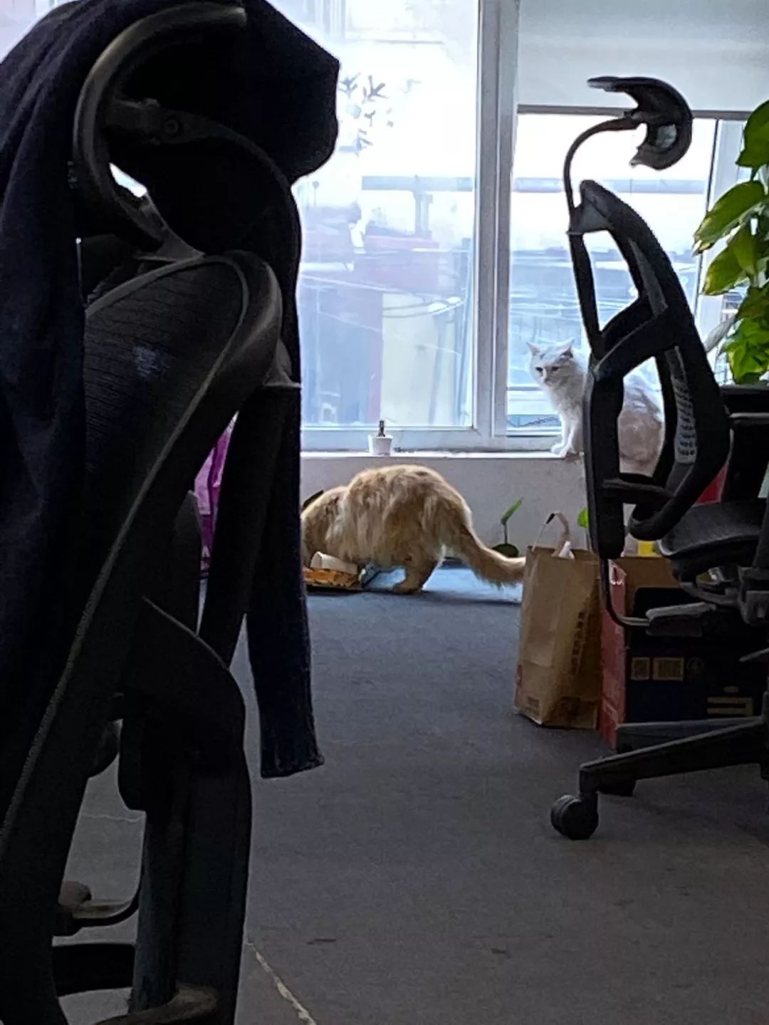 你和富豪的差距只差一个习惯,你和富人的差距只有一点