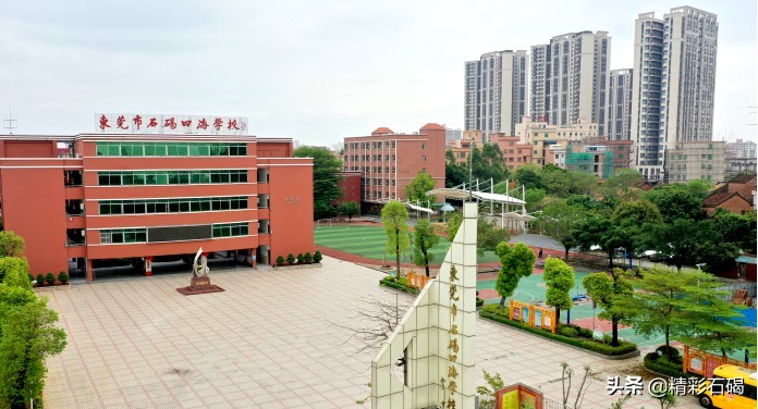 广东东莞市石碣四海学校排名,石碣四海学校口碑怎么样