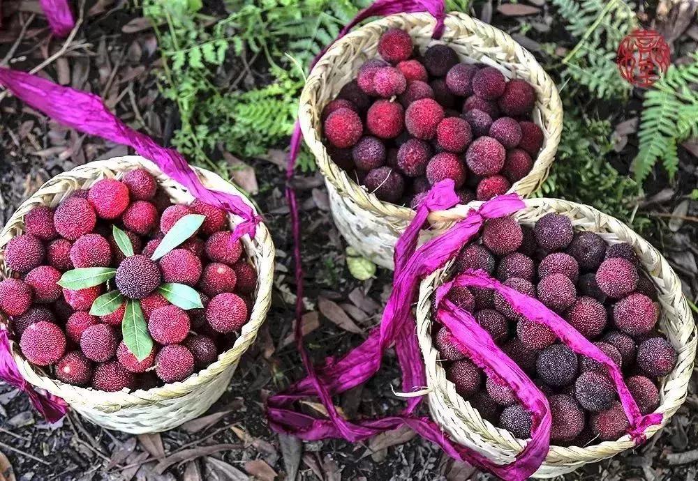 苏州通安的特色,苏州通安有什么美食