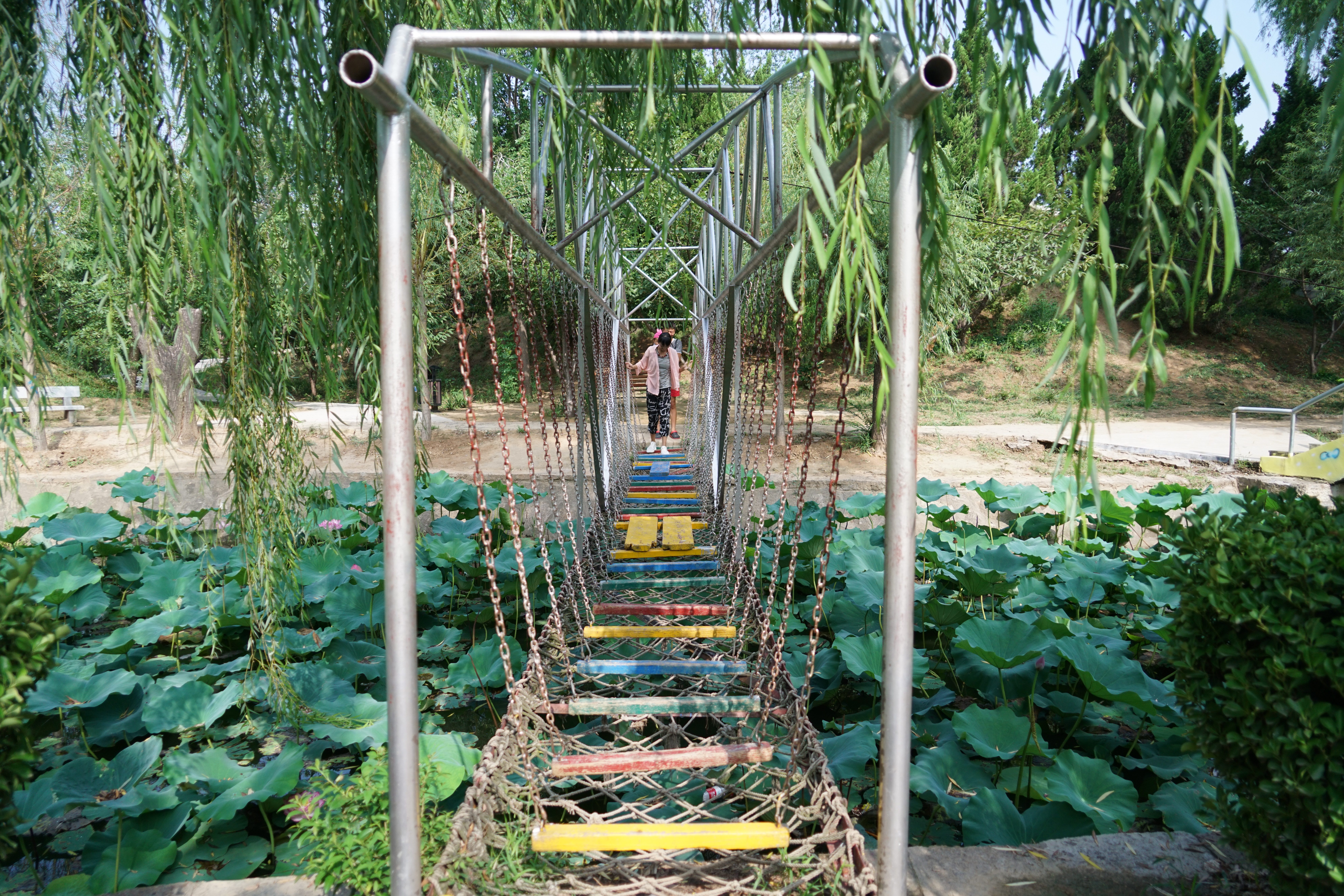 聊城姜堤乐园和周公河乐园哪个好,聊城姜堤乐园附近景区