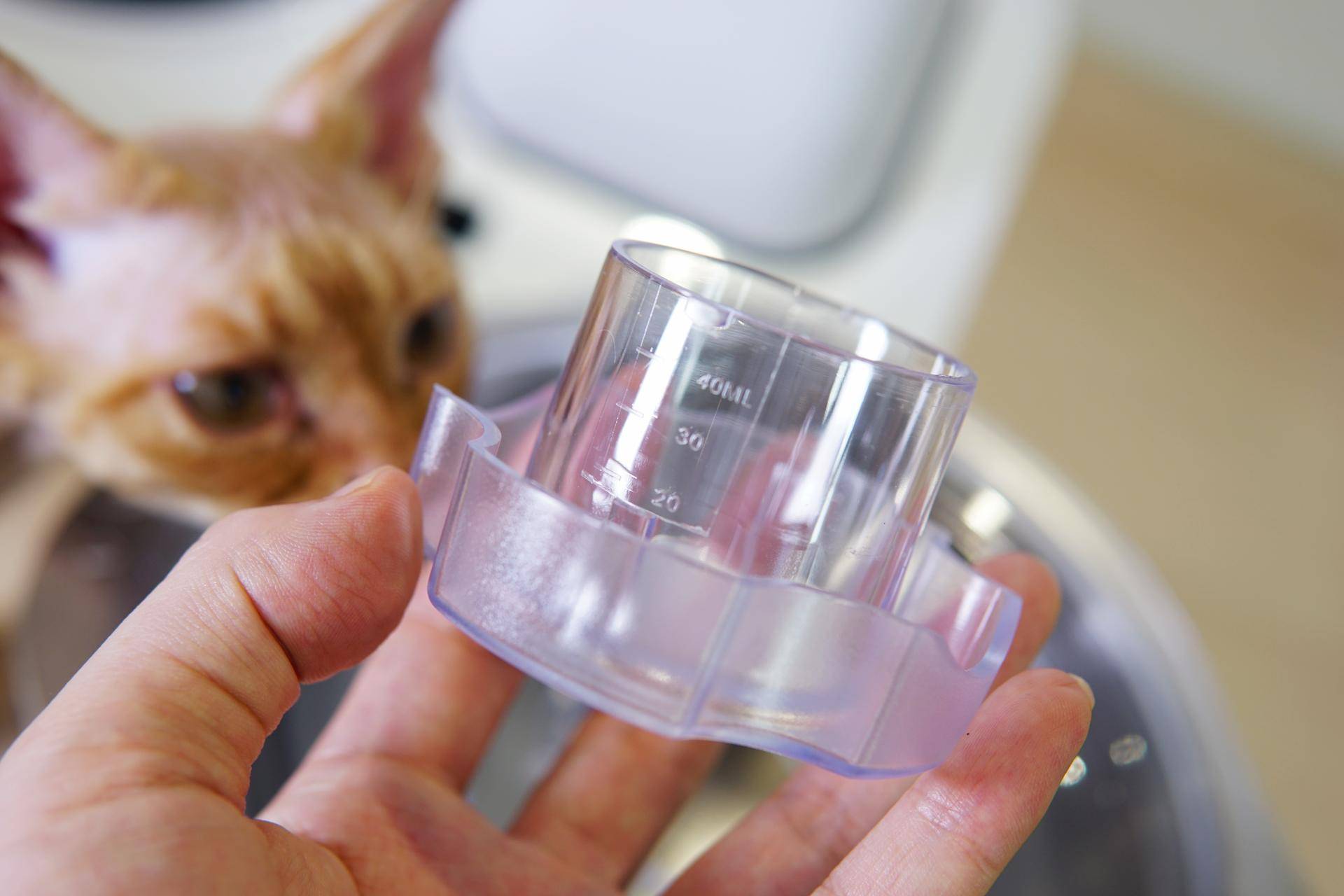 烘焙商用和面机推荐开店用,烘焙和面机推荐