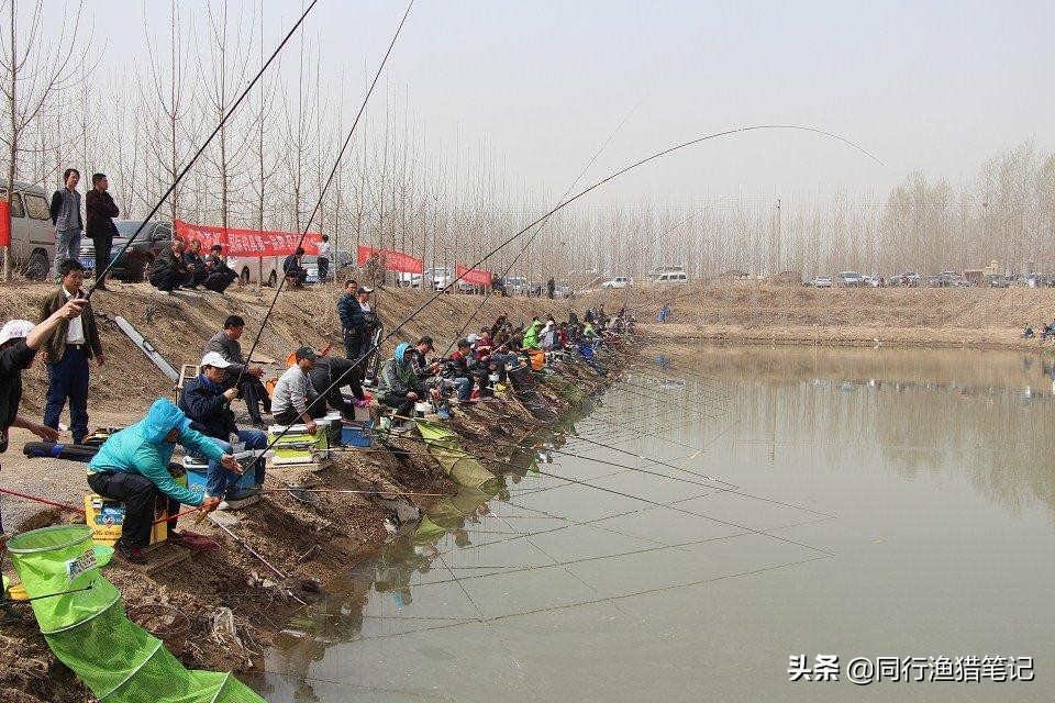 怎么钓黑坑才能赚钱,玩黑坑能挣钱吗