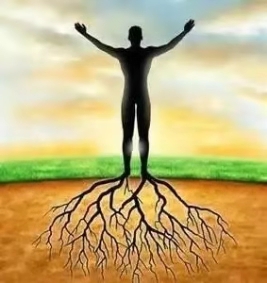 根基建立必练的16体式讲解,根基不稳