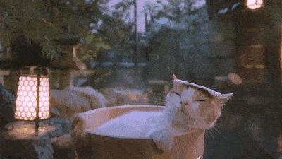 深圳周边一日游温泉,不用去日本就能看到的海