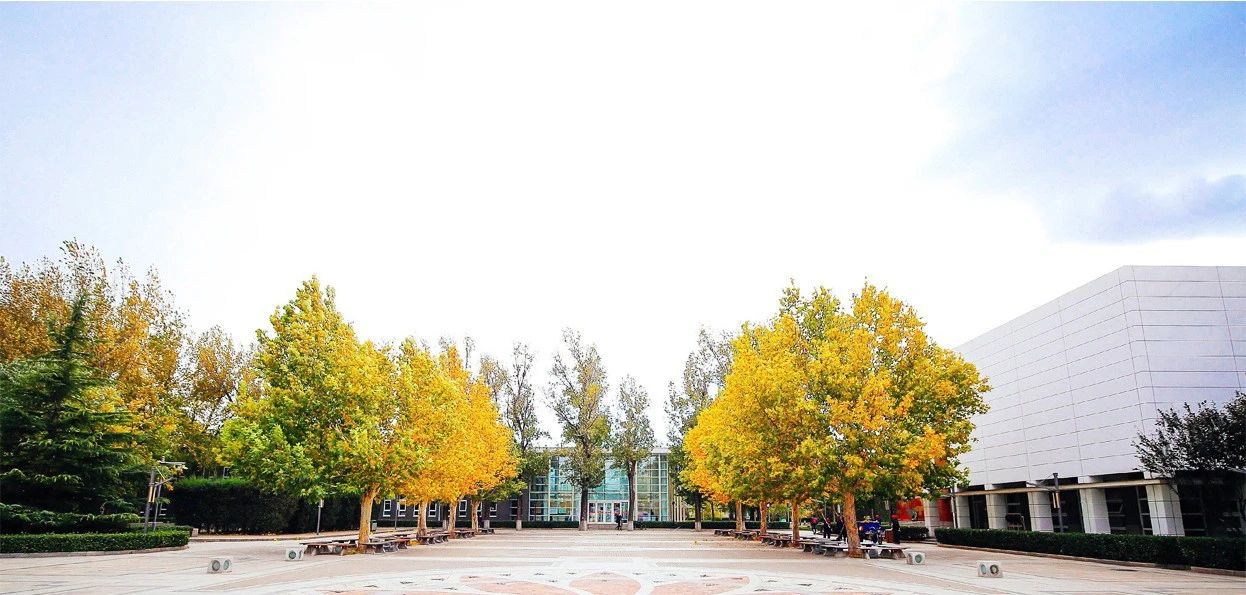 小升初教育的乱象,北京小升初如何被好学校点招