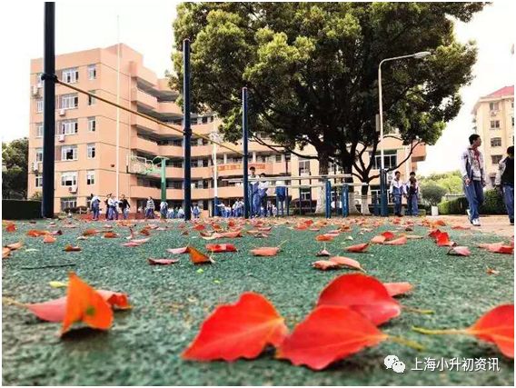 闂佃姣旇緝濂界殑鍒濈骇涓,闂佃鍖哄墠鍗佸悕閲嶇偣鍒濅腑