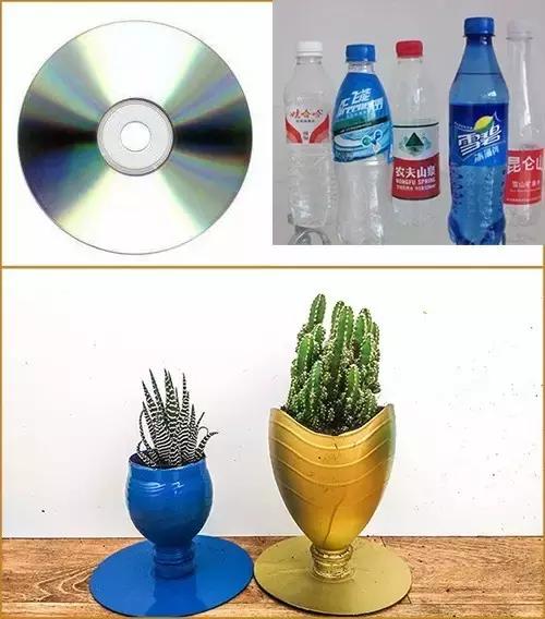 酒坛自制多肉创意花盆制作方法,洗衣液瓶自制花盆最简单的方法