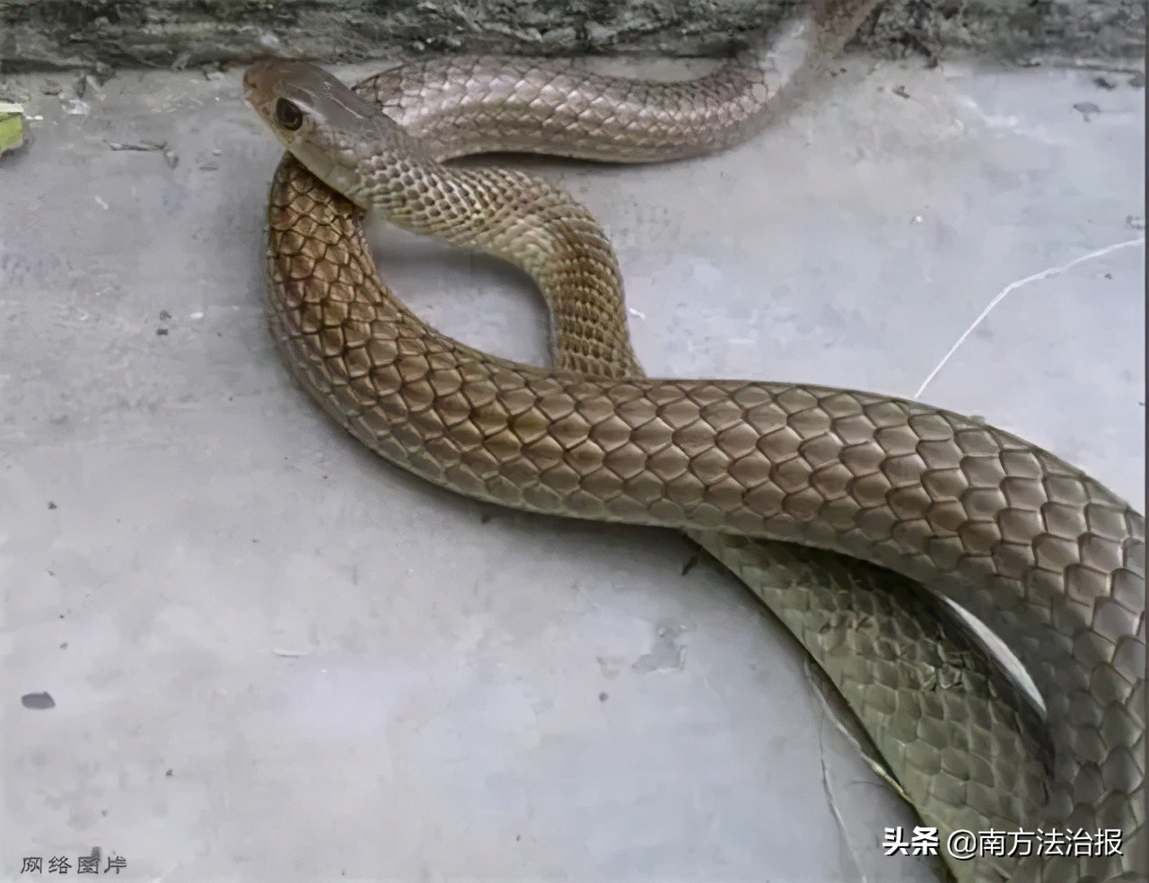 幼儿园里的神秘怪物,超吓人幼儿园