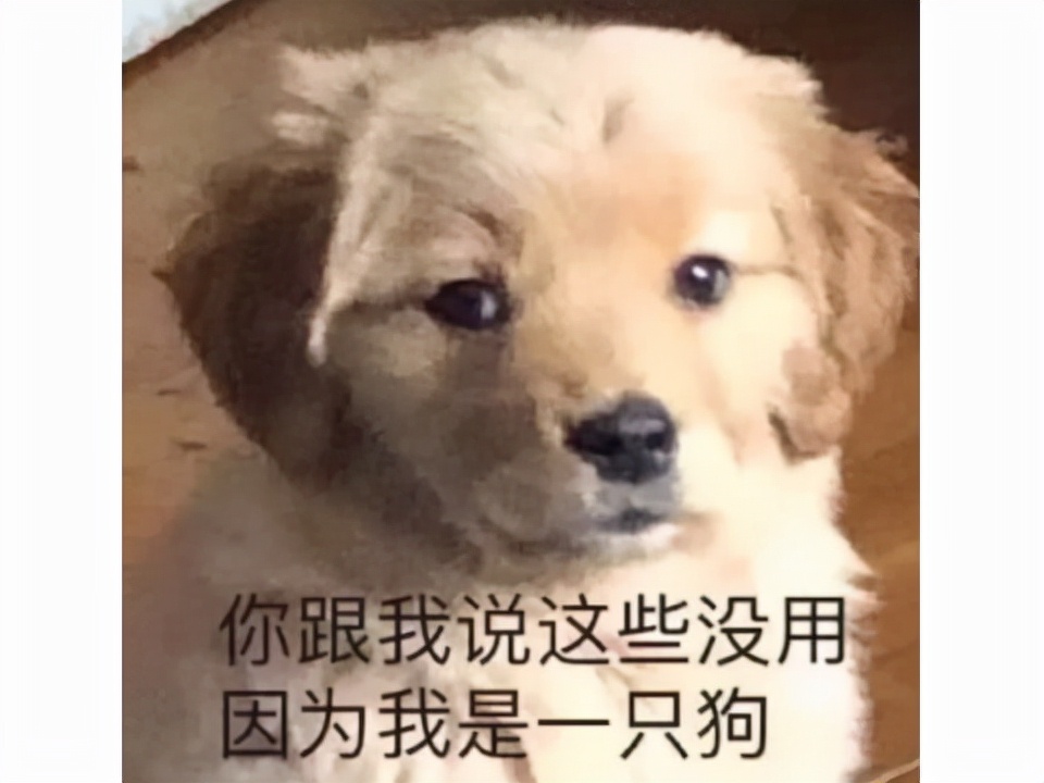 为追求班花，集全班之力拿下全服财富第一，却还是输给了富二代