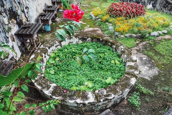 梅州采茶,梅州采茶体验