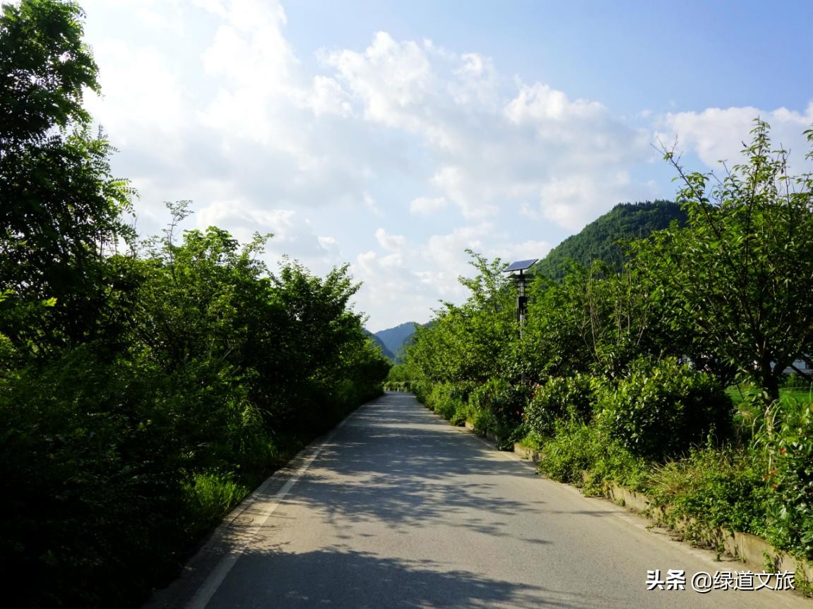 这个康养度假区投资20亿，占地1000亩，是中国上佳康养旅居度假区