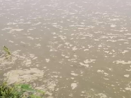 水质老化是什么原因,池塘水质老化怎么调理