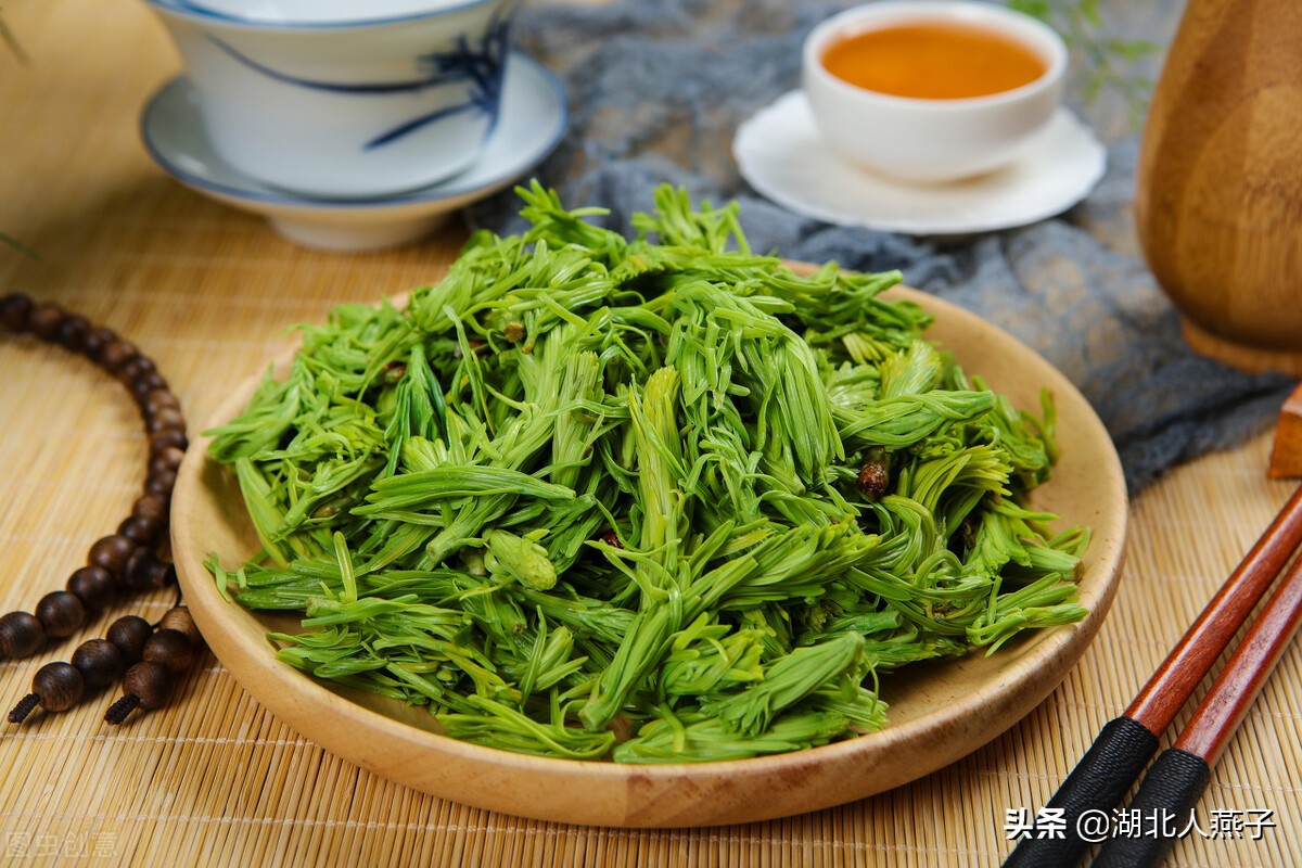 常见野菜的种类和图片大全 (各种野菜大全带图片)