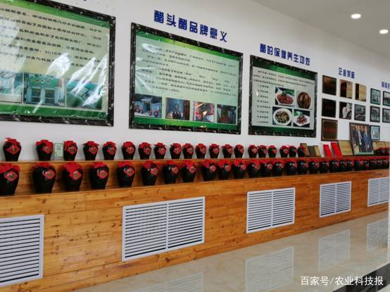 百年非遗老陈醋,醋百年古法传承