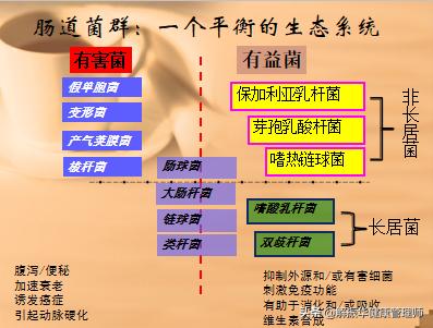 益生菌促进肠道蠕动,如何增加肠道益生菌
