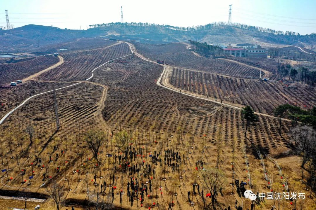 带你去美颜,明天一起去大理