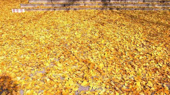 盗墓发现三个盗洞,盗墓发现千年地宫