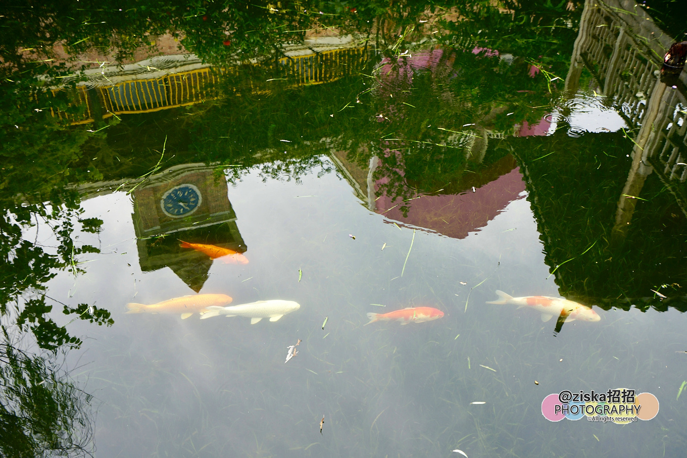 深圳市甘坑客家小镇游玩攻略,甘坑客家小镇儿童亲子乐园怎么走