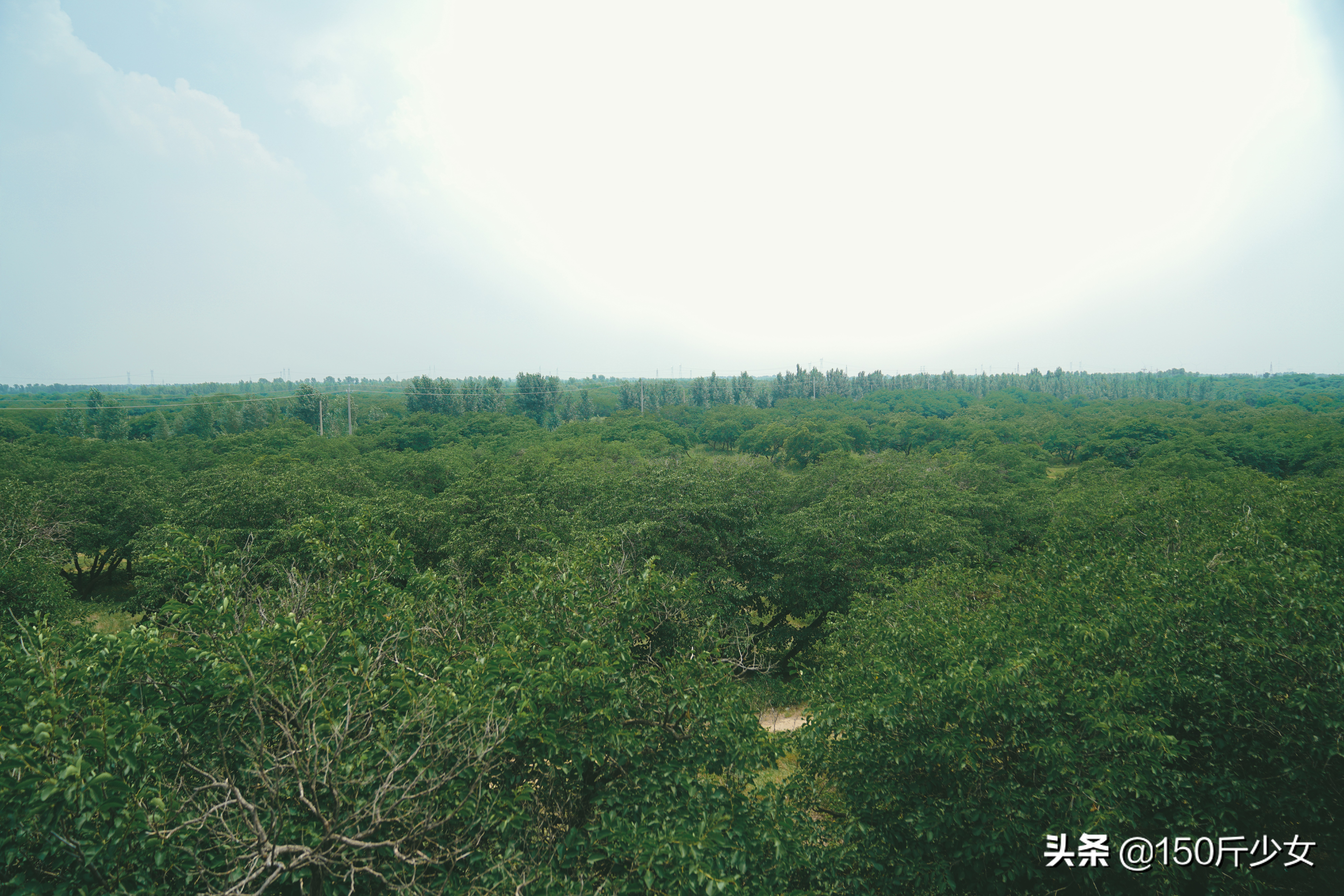 随心所欲玩转吉林！6天5晚人均1000自驾游，吉林现在也很美