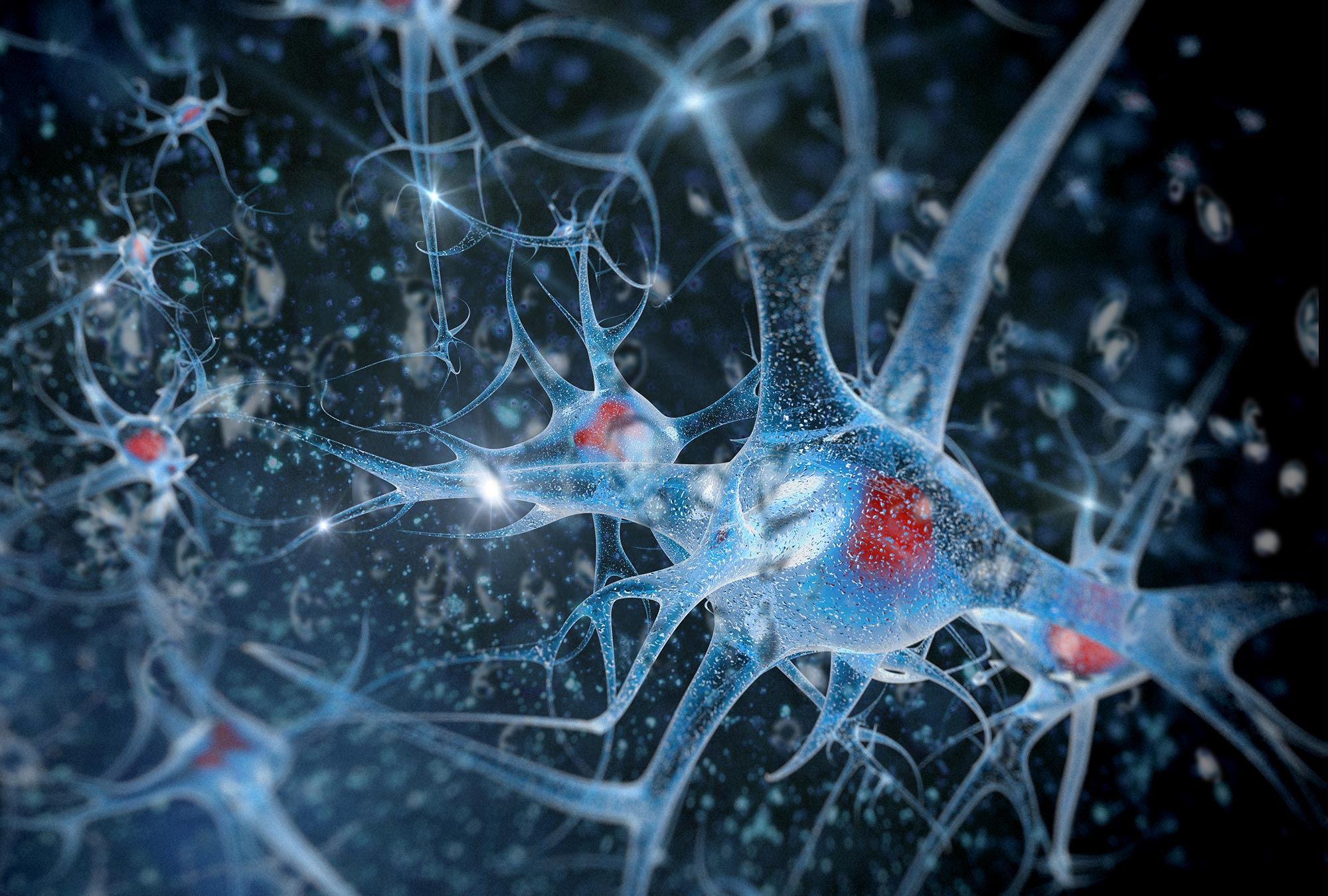 把毒蛇的毒液放到血里,把毒蛇的毒液注入到它自己体内