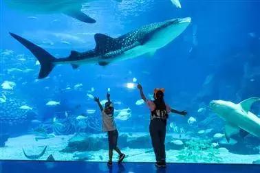 珠海长隆和广州长隆旅游攻略区别,珠海长隆旅游策略