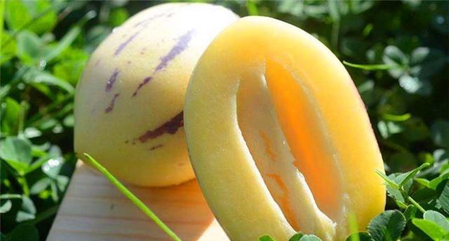 国外精品水果种植,引进国外品种种植的水果