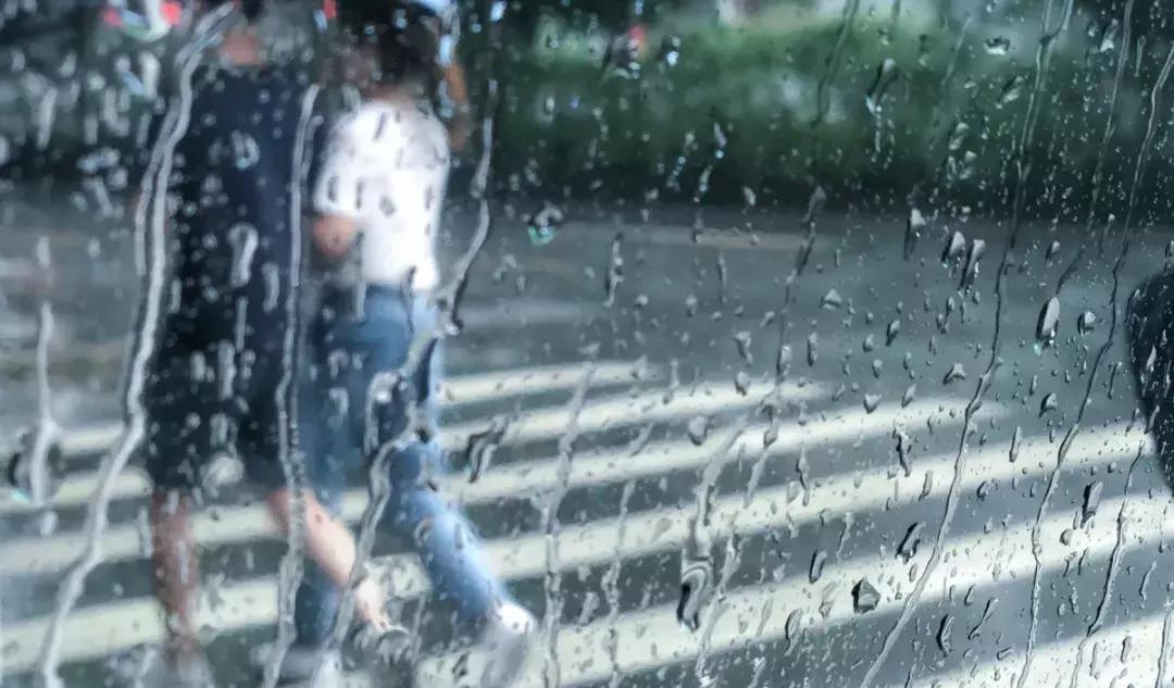 湿疹跟身体湿气重有关系吗,湿疹是因为体内湿气重造成的吗