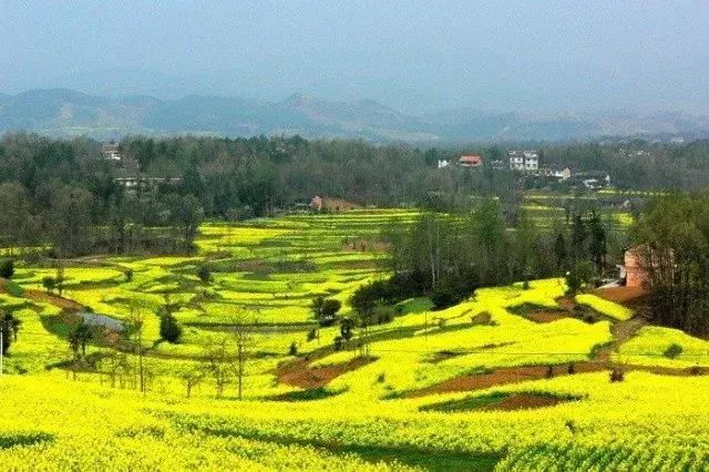 2023中国县域最美榜单,中国十大最美县域