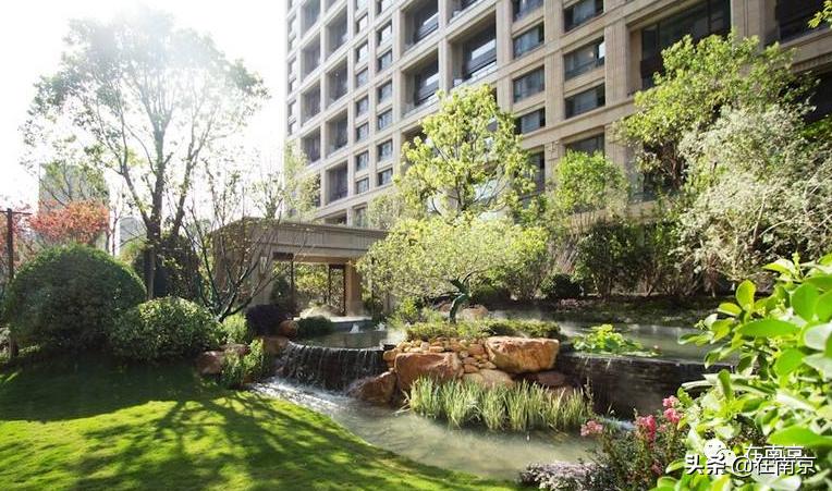 最新金基走势,金基圣诞节