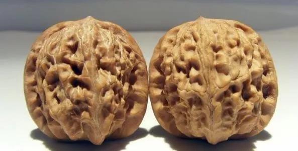 文玩核桃分类及特征,文玩核桃的种类和特点