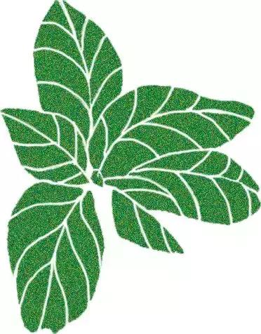 烹饪菜肴用的香辛料,料理必备调味料