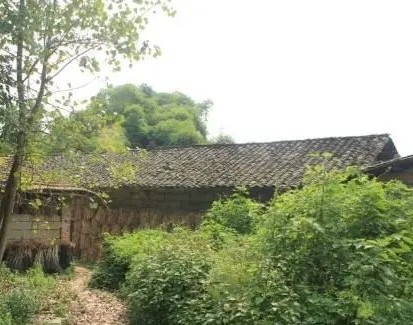 原创老屋图片大全,老屋原创歌曲