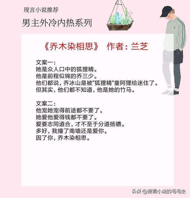 男主外冷内热甜宠文,男主高冷腹黑现言宠文