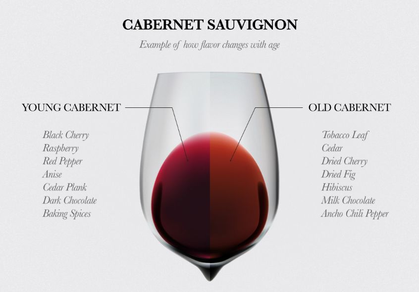 葡萄酒看什么,葡萄酒的葡萄品种介绍