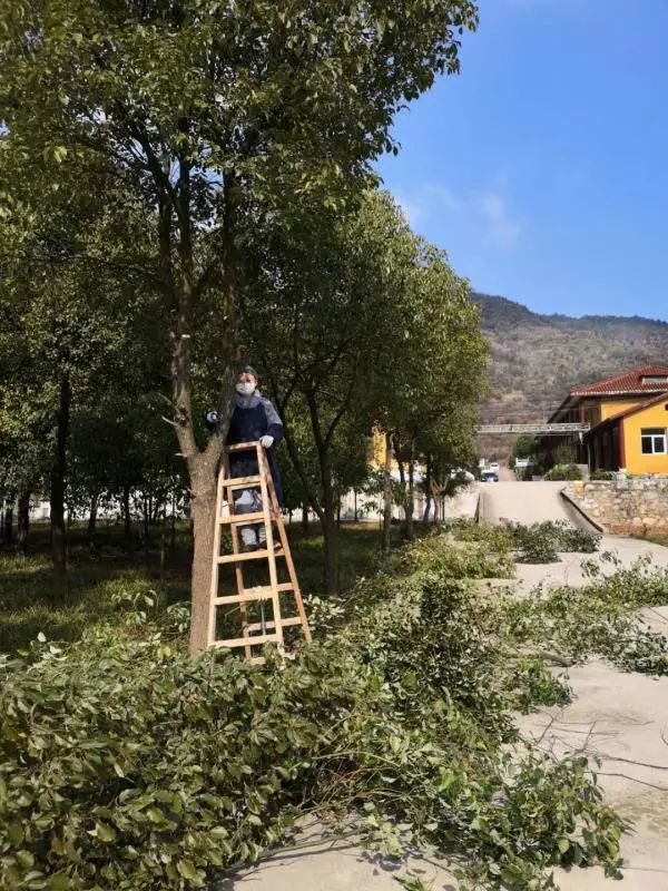 抢抓农时开展农业生产,农民纷纷抢抓春耕生产有利时机