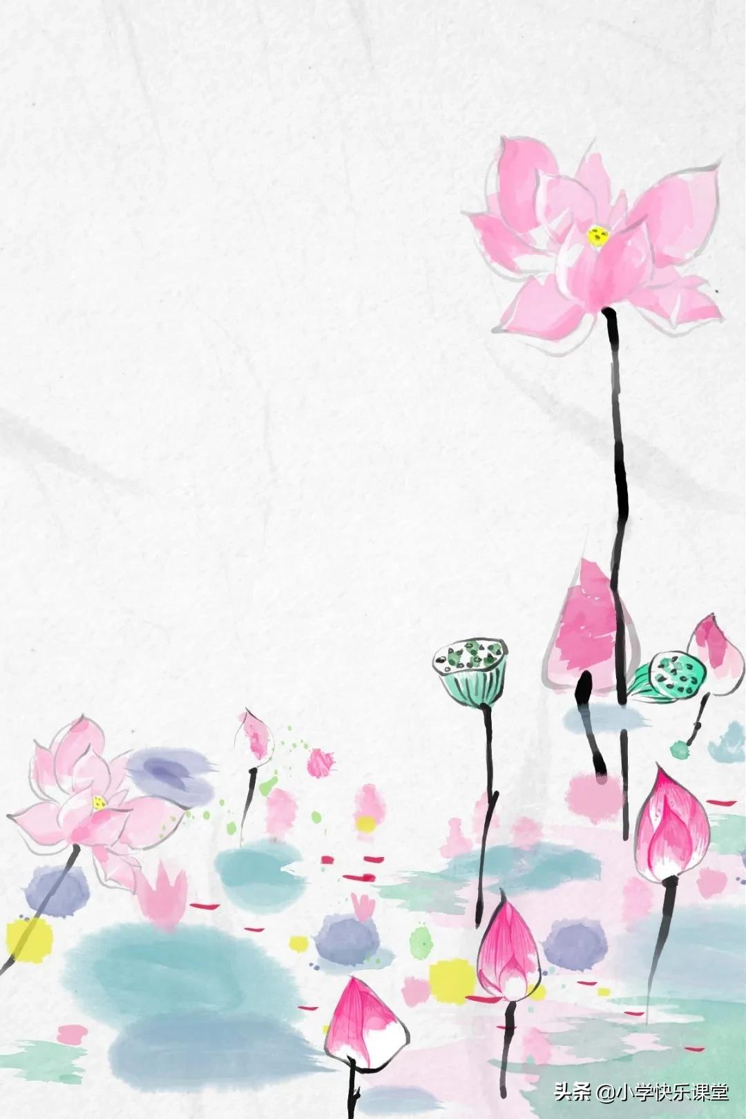 描写荷花的作文300字三年级的,摘抄课文荷花的好词好句