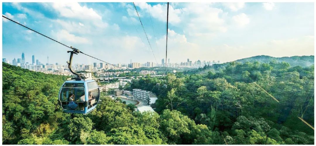 广州白云机场周边规划,广州新建机场最新信息