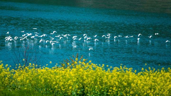 美丽浙江建设具体内容,浙江省美丽城镇建设样板创建名单