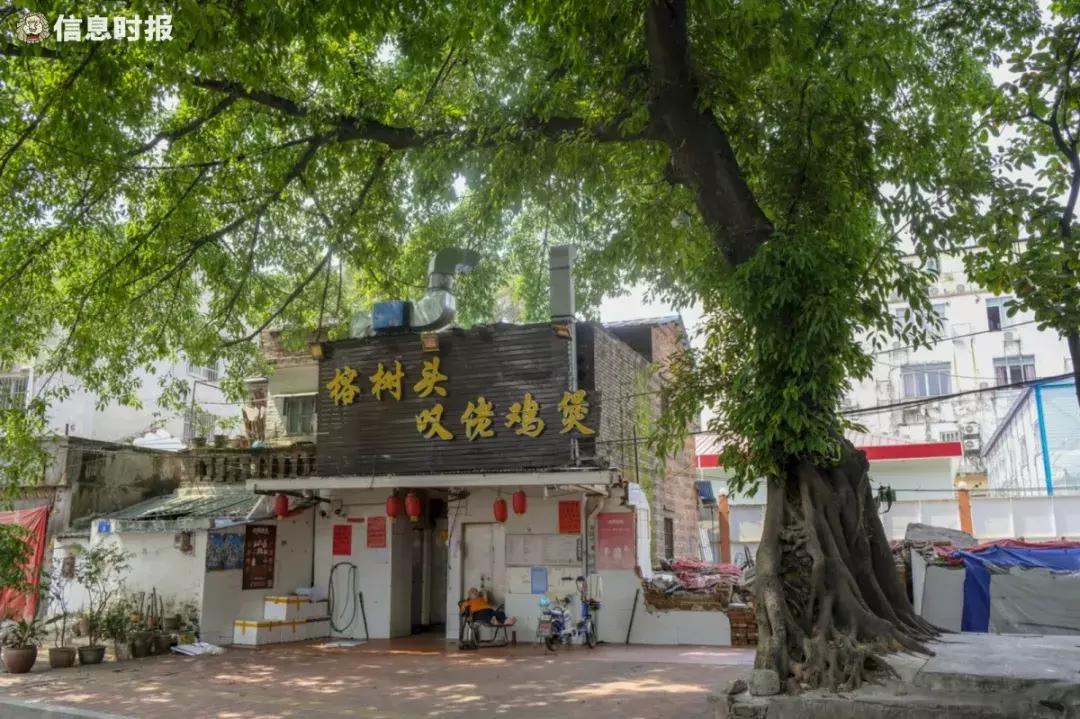 再见了大别山原唱歌曲,再见了大别山完整版原唱