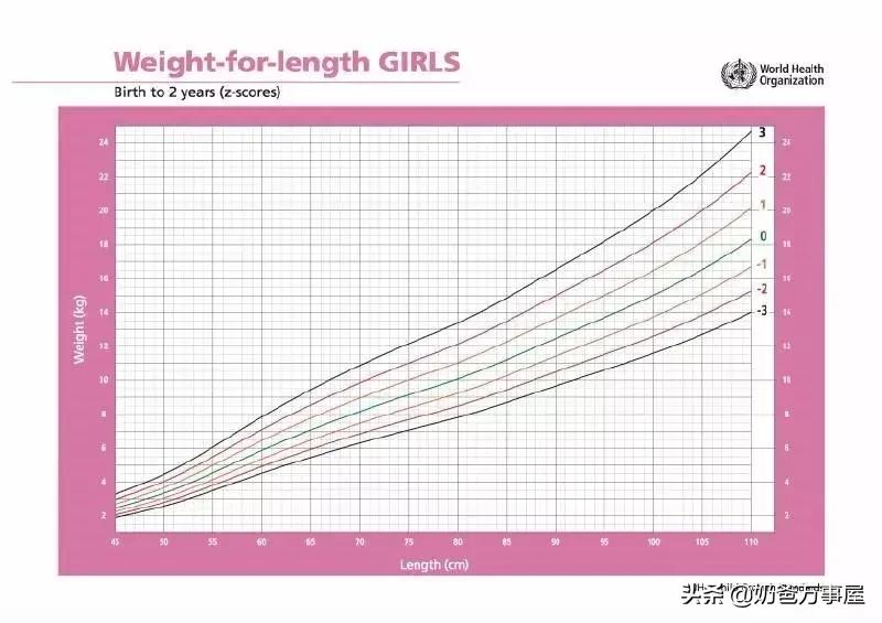 孩子肥胖营养师,营养师如何给孩子补充营养