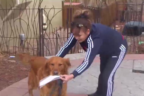 独居老人无法出门，狗狗超开心帮忙：本汪帮你买东西！