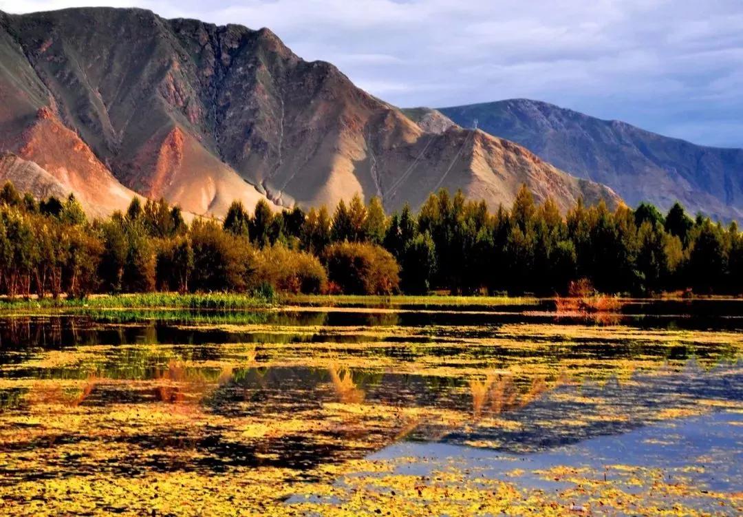 南宁开通新航线每周4天直飞河内,南宁直飞拉萨