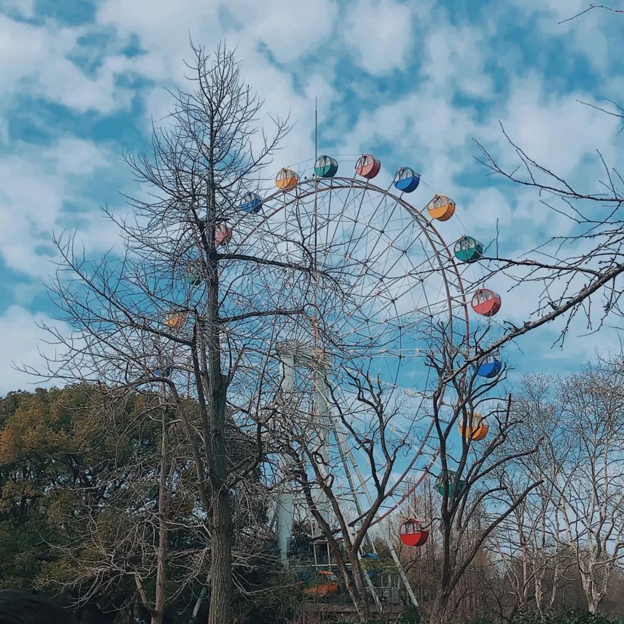 上海的热搜,最近热搜的上海