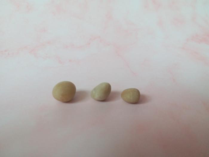 石头彩绘饭团,创意石头彩绘