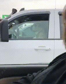 藏獒被关笼中十二年，铁笼已被焊死，主人就住隔壁，却不管它死活