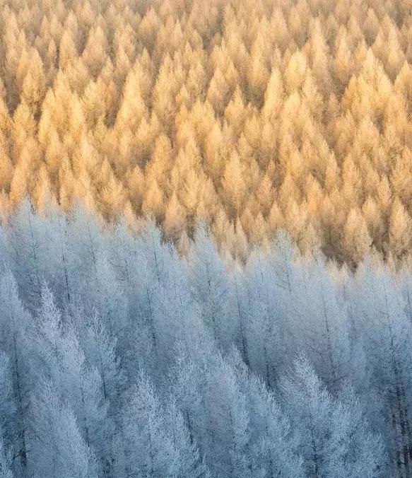 雾凇之美宛若仙境,连云港花果山雾凇美得像仙境