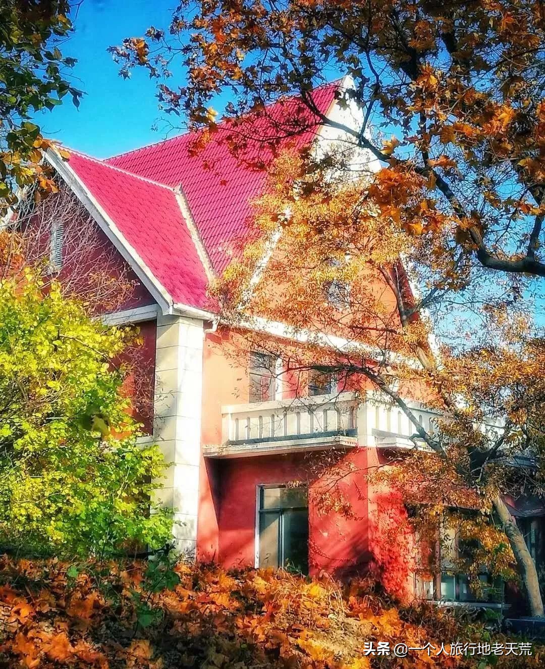 厦门海滨老城旅游,厦门最美海滨城