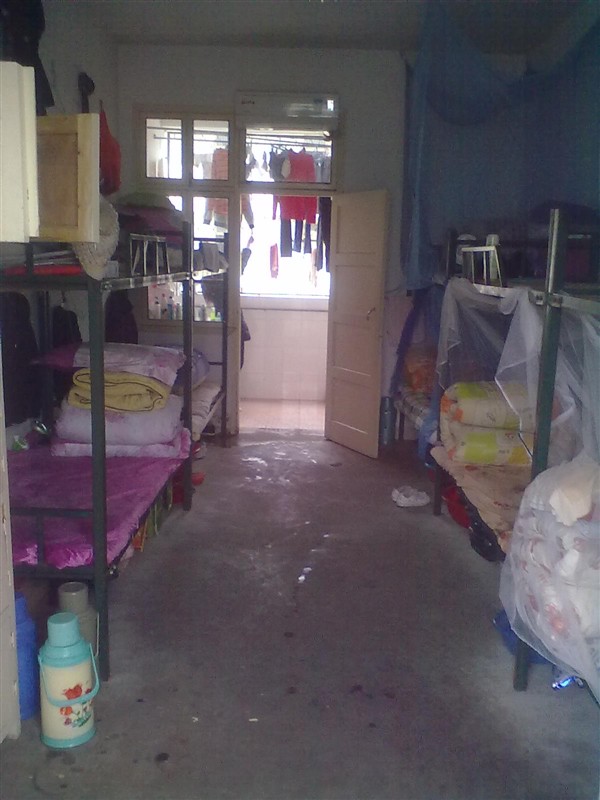 我的高四生活作文,毛坦厂的日夜