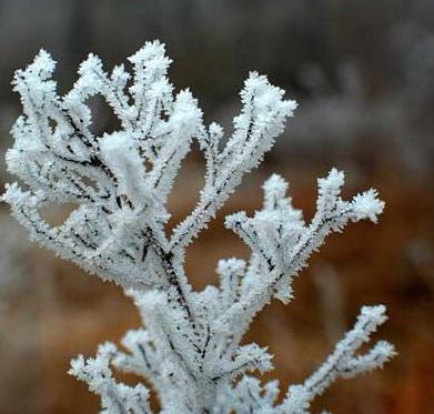 老中医可以给孩子起名吗,用中药名字给孩子取名可以吗
